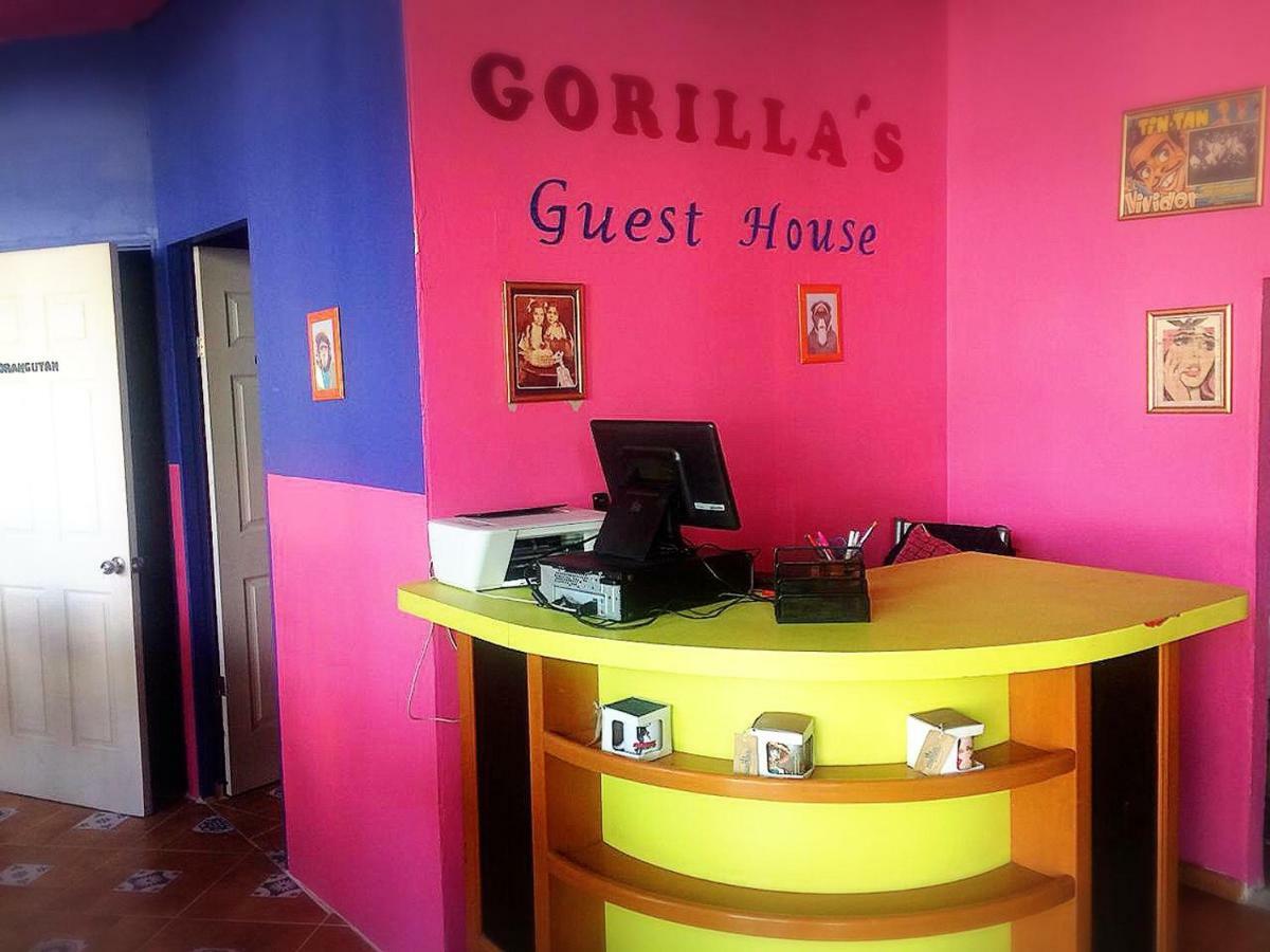 Gorilla'S Guest House Πουέμπλα Εξωτερικό φωτογραφία